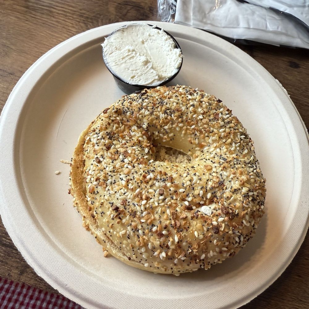 Toasted Everything Bagel Toasted Everything Bagel