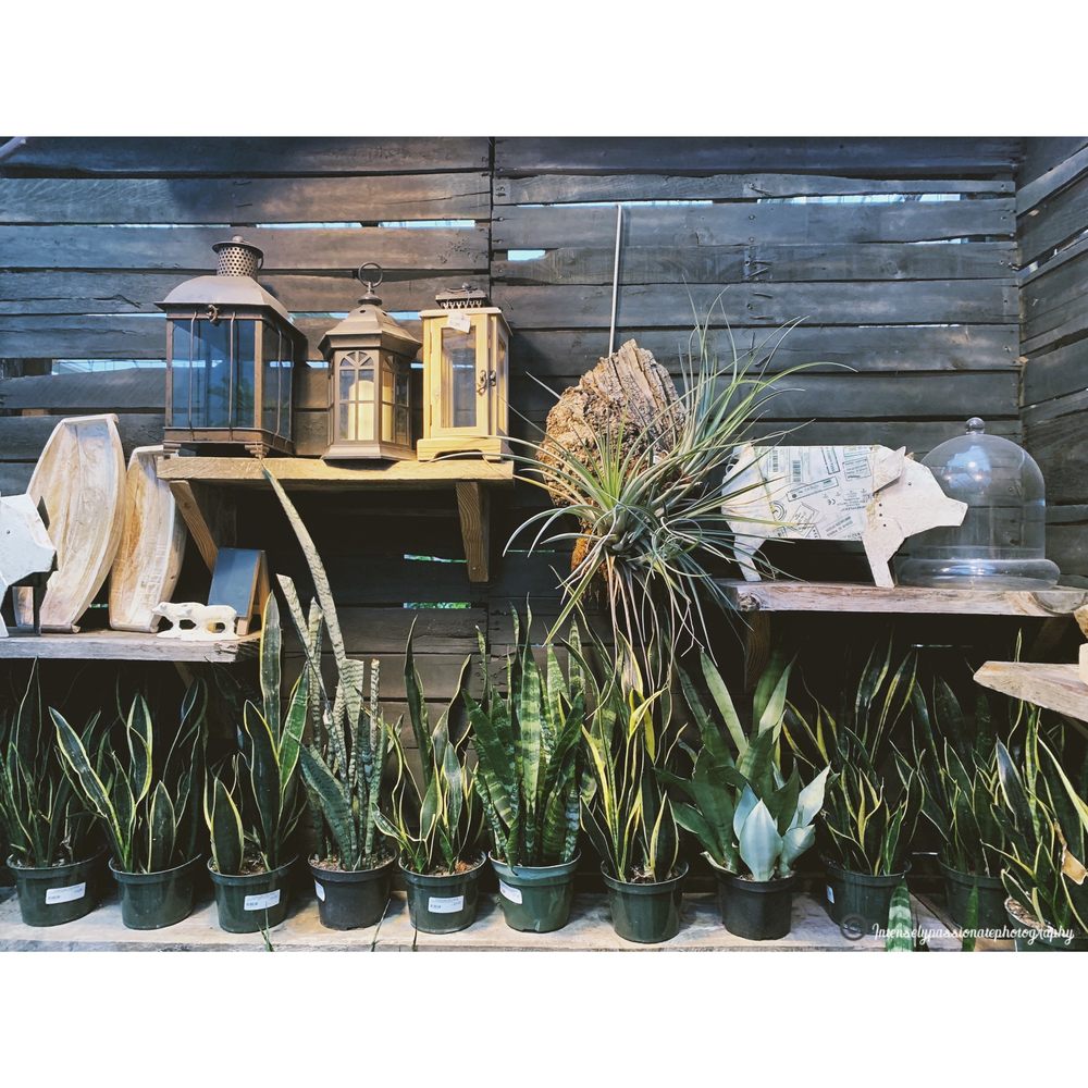 Colonial Nursery - #IntenselyPassionatePhotography - Nurseries & Gardening Near Me - Lincroft, New Jersey