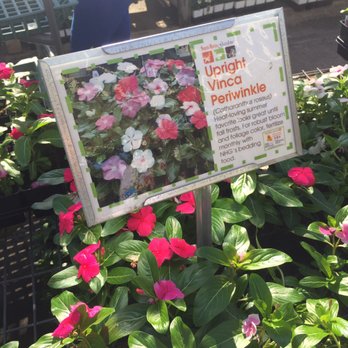 North Haven Gardens - Nurseries & Gardening Near Me - Dallas, Texas