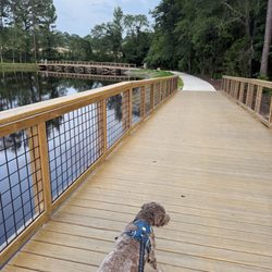 Gibson Pond Park