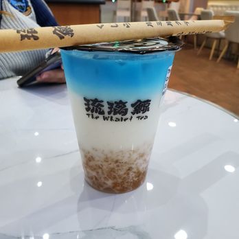 The Whale Tea - Bubble Tea Near Me - New Haven, Connecticut The Whale Tea - Bubble Tea Near Me - New Haven, Connecticut