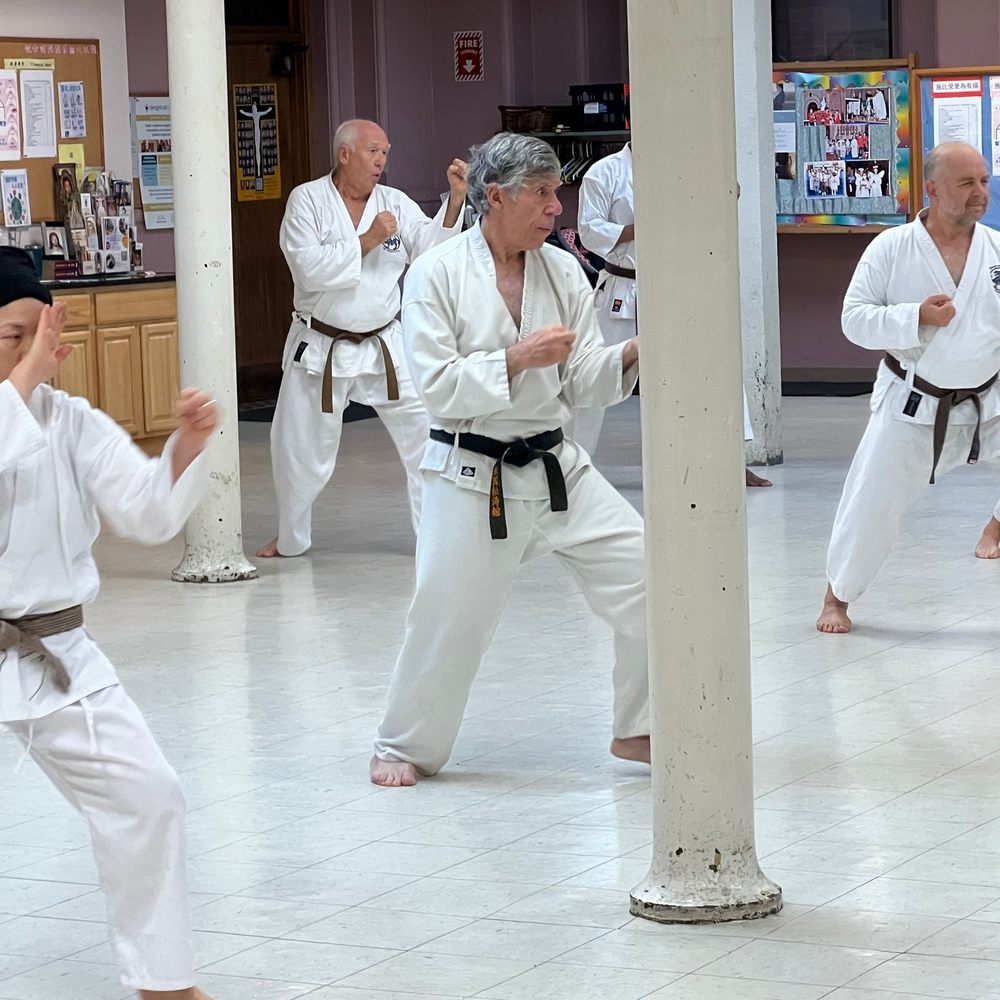 KARATE BUSHIDO 298 - Année 2002 - État D'usage