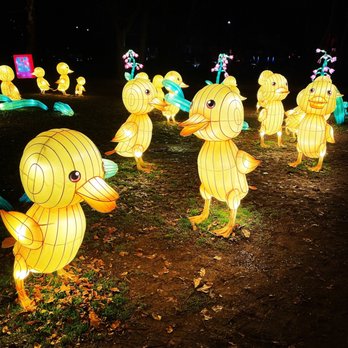 Queens County Farm Museum - Ducks! - Museums Near Me - Floral Park, New York