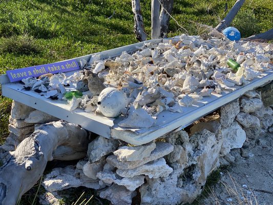 Sandspur Beach by null