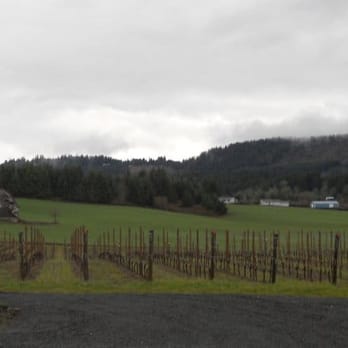 ArborBrook Vineyards - Vineyard outlook from parking lot - Wineries Near Me - Newberg, Oregon