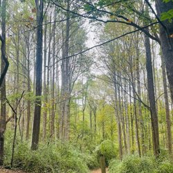 Hemlock Overlook Regional Park