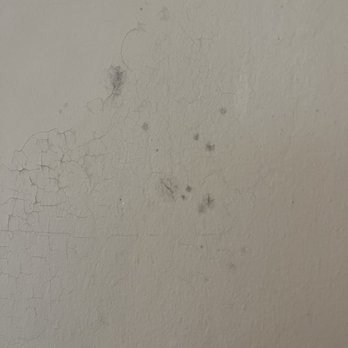 Eclipse Property Management - Black mold coming through the wall below - Property Management Near Me - Alameda, California