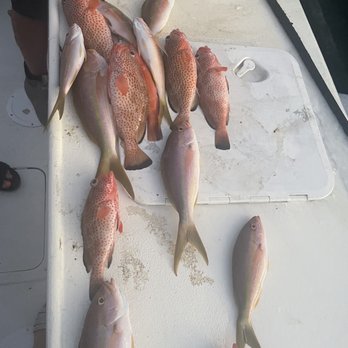 Ocean Surfari Charters - Fishing Near Me - Red Hook, Virgin Islands
