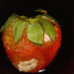 Largo Middle School - Moldy strawberry