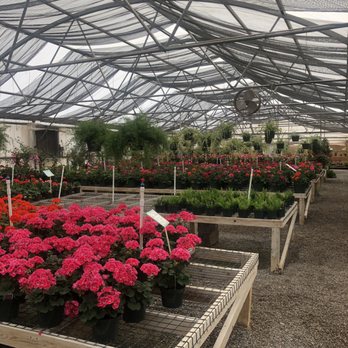 Sierra Vista Growers - Inside - Nurseries & Gardening Near Me - Anthony, New Mexico