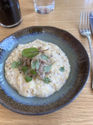 Maude & the Bear by null