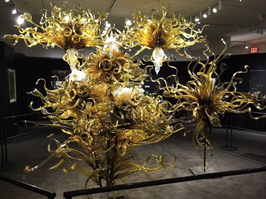 National Czech & Slovak Museum & Library by null