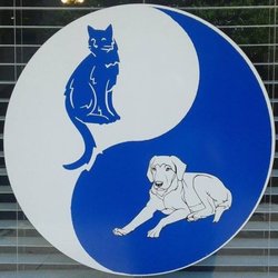 Veterinary Holistic Healing