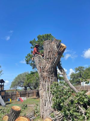 Bayseas Catfish House by null