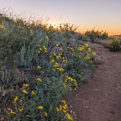 Mt. Galbraith Park - Nightbird Gulch Trail | Instagram: @telephonesmoothie