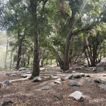 Switzer Falls - USDA Forest Service - Picnic area - Hiking Near Me - La Canada Flintridge, California Switzer Falls - USDA Forest Service - Picnic area - Hiking Near Me - La Canada Flintridge, California