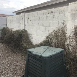 This is how my yard was left. This is how my yard was left.