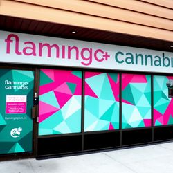 Flamingo+ Cannabis