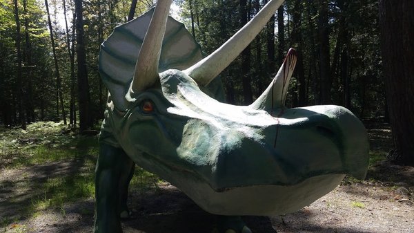 Dinosaur Gardens by null