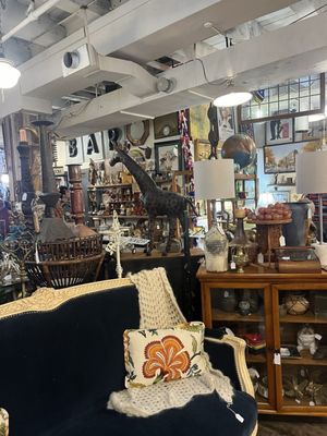 Bella Patina by null