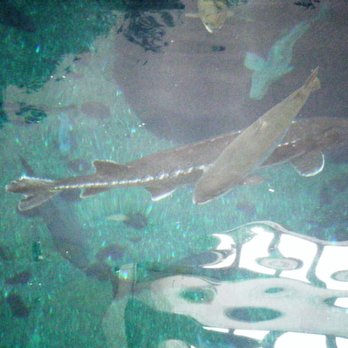 Biodôme de Montréal - Aquariums Near Me - Montreal, Quebec Biodôme de Montréal - Aquariums Near Me - Montreal, Quebec
