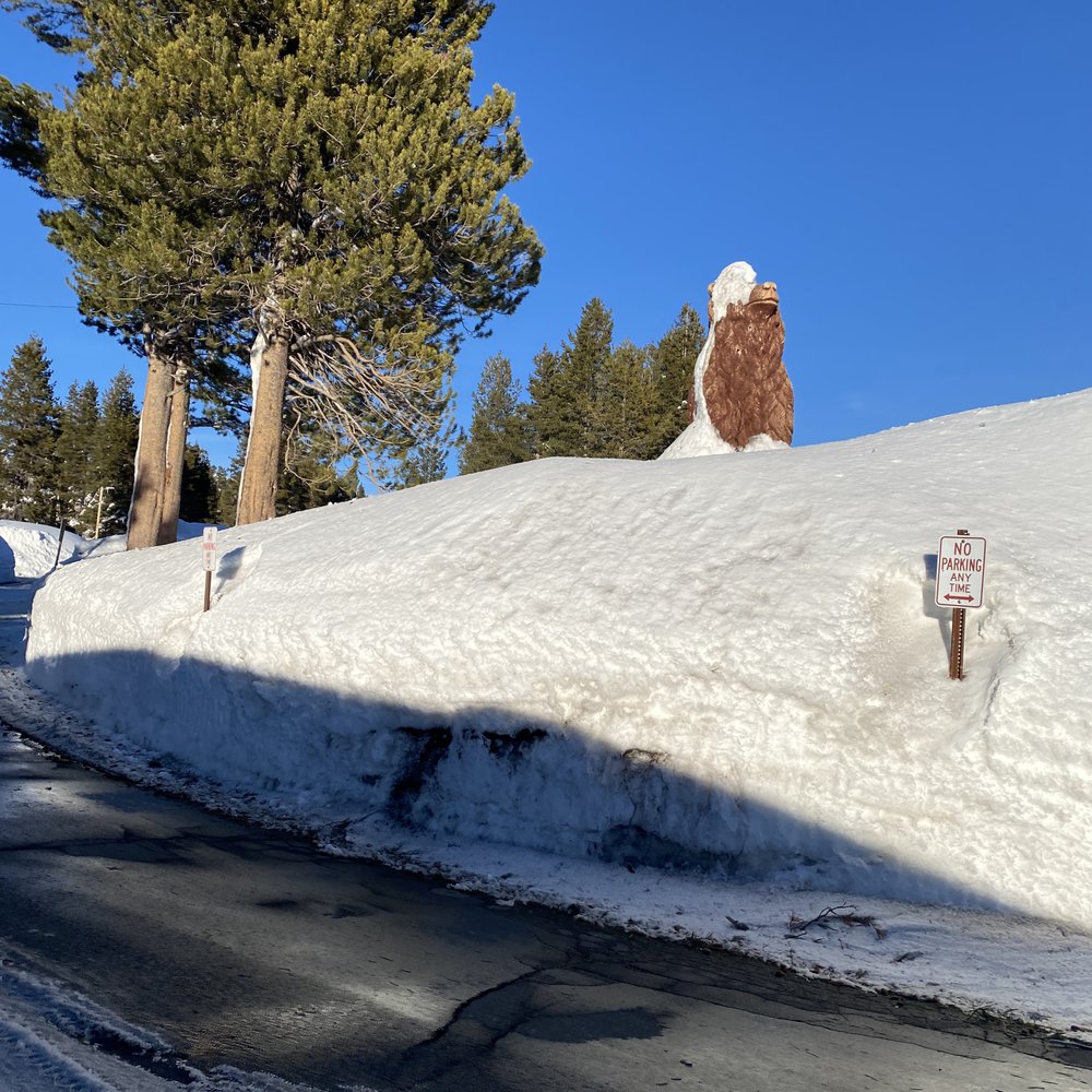 Bear Valley Adventure Company - Ski Resorts Near Me - Bear Valley, California Bear Valley Adventure Company - Ski Resorts Near Me - Bear Valley, California