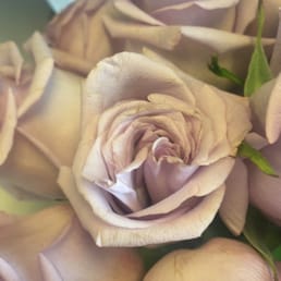 Just received flowers today and they are wilted and brown. Just received flowers today and they are wilted and brown.