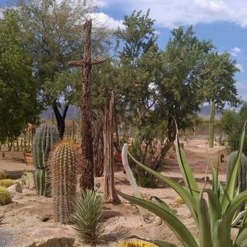 Acacia Nursery - Nurseries & Gardening Near Me - Marana, Arizona Acacia Nursery - Nurseries & Gardening Near Me - Marana, Arizona