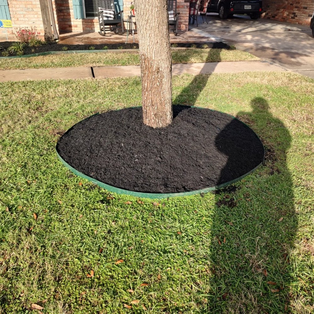 Slide of Cruz Landscape And More