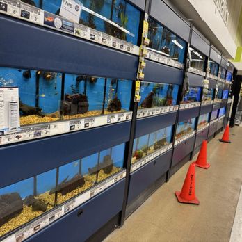 Petco - Freshwater section - Pet Stores Near Me - Canoga Park, California