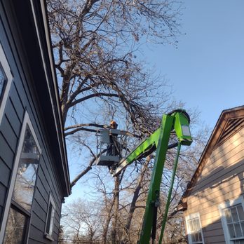 Adrean's Tree Service - Tree Services Near Me Adrean's Tree Service - Tree Services Near Me
