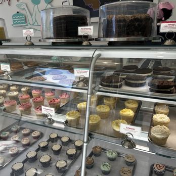SusieCakes - Bakeries Near Me - Costa Mesa, California