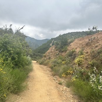 Potato Mountain - More trail - Hiking Near Me - Claremont, California