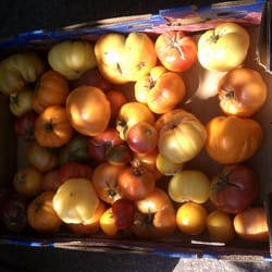 Connelly Farms - Heirloom Tomatoes