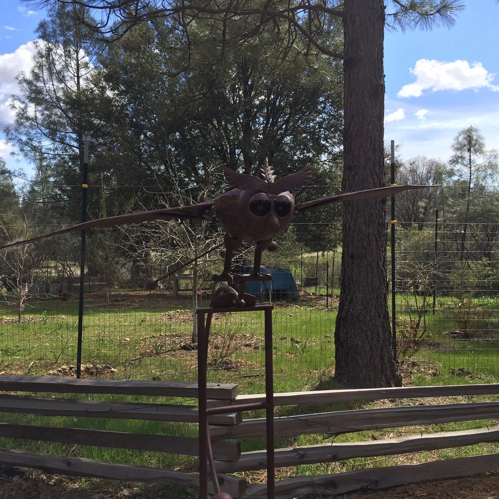 A Jumbo Rocking Owl that rock with the Wind! A Jumbo Rocking Owl that rock with the Wind!