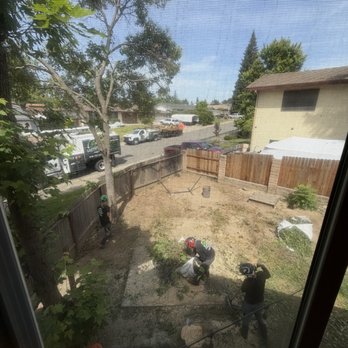 Easy Stumps Tree Services - Tree Services Near Me - Folsom, California Easy Stumps Tree Services - Tree Services Near Me - Folsom, California