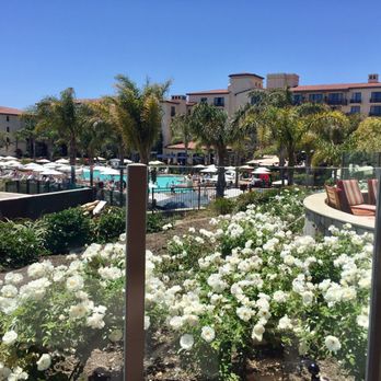 mar'sel - The view directly on the right of the patio of the resort and pool. Such a stunning view! (Summer Brunch, 5/21/17) - New American Near Me - Rancho Palos Verdes, California mar'sel - The view directly on the right of the patio of the resort and pool. Such a stunning view! (Summer Brunch, 5/21/17) - New American Near Me - Rancho Palos Verdes, California