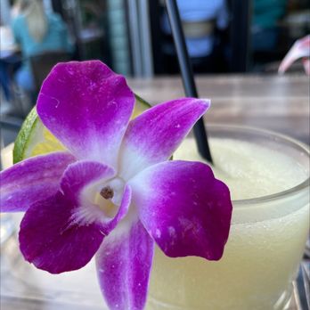 Casa Tequila Cocina & Bar - House Margarita - Bars Near Me - Armonk, New York Casa Tequila Cocina & Bar - House Margarita - Bars Near Me - Armonk, New York