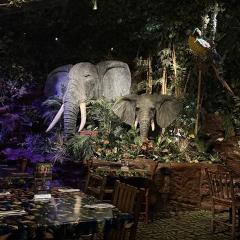 Rainforest Cafe - Cafes Near Me - Niagara Falls, New York Rainforest Cafe - Cafes Near Me - Niagara Falls, New York