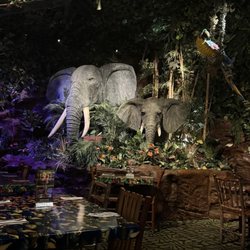 Rainforest Cafe