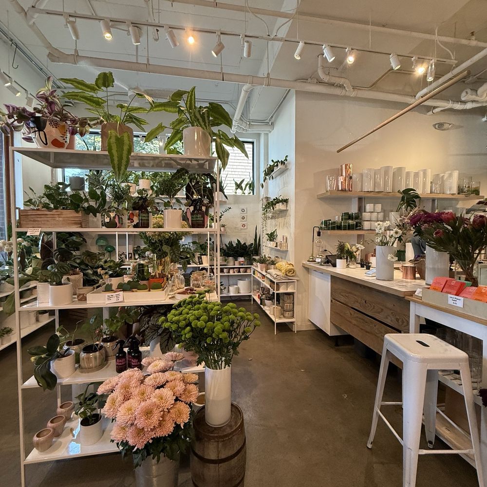 TOP 10 BEST Florists in Seattle, WA - Updated 2026 - Yelp, image size:1000x1000