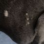 Photo of Rahway Animal Hospital