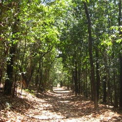 Museu de História Natural e Jardim Botânico da UFMG