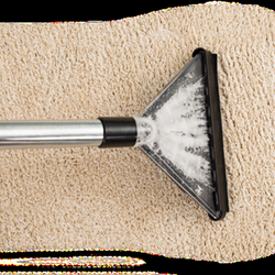 Fox Valley Carpet Cleaning