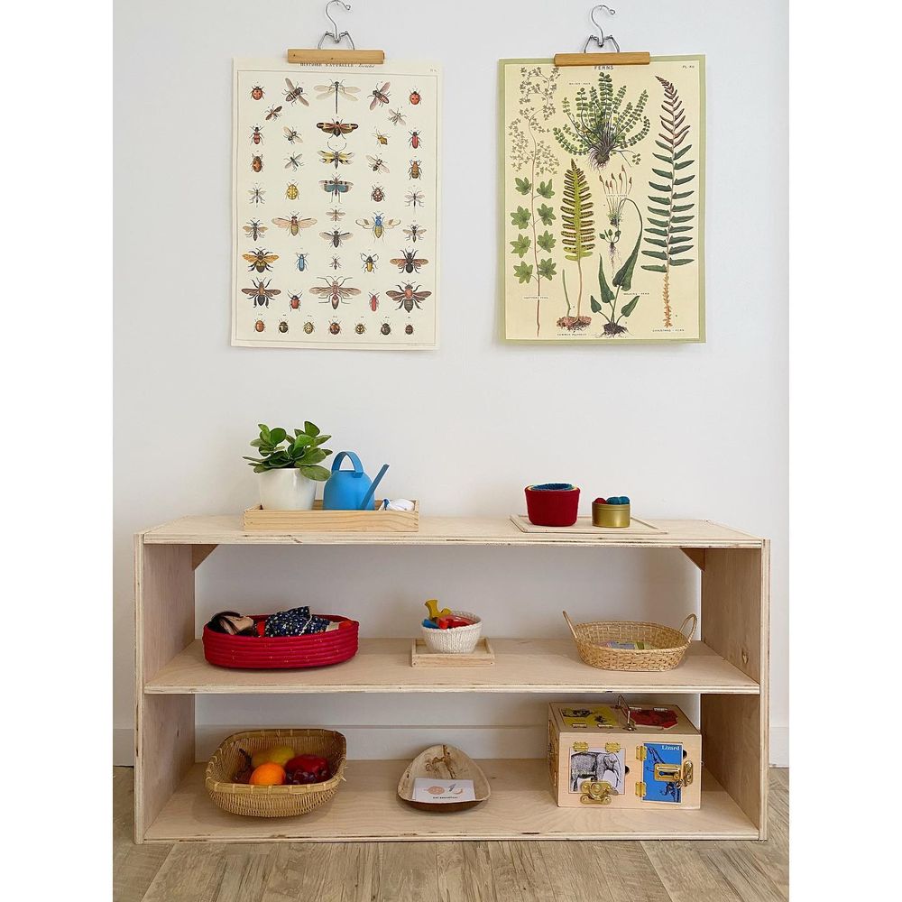 Peanut Montessori - childcare center in Indianapolis, IN