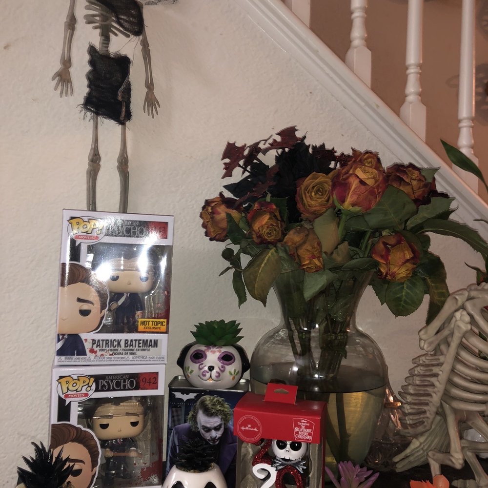 Succulents all from Walgreens night mare ones plus the cat