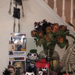 Succulents all from Walgreens night mare ones plus the cat
