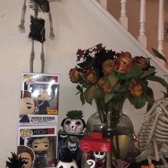Walgreens - Succulents all from Walgreens night mare ones plus the cat - Drugstores Near Me - North Las Vegas, Nevada