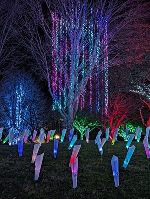 The North Carolina Arboretum by null