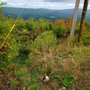 Photo of Mohawk Trail